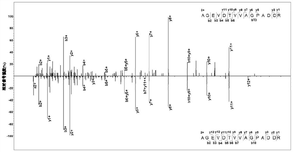 Mycobacterium tuberculosis h37rv coding gene and its application