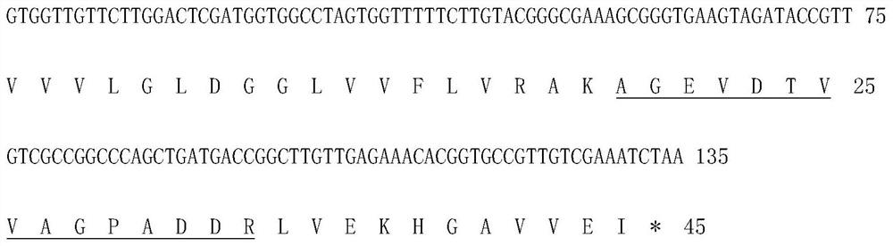 Mycobacterium tuberculosis h37rv coding gene and its application