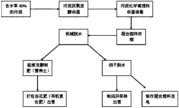 Sludge treatment method