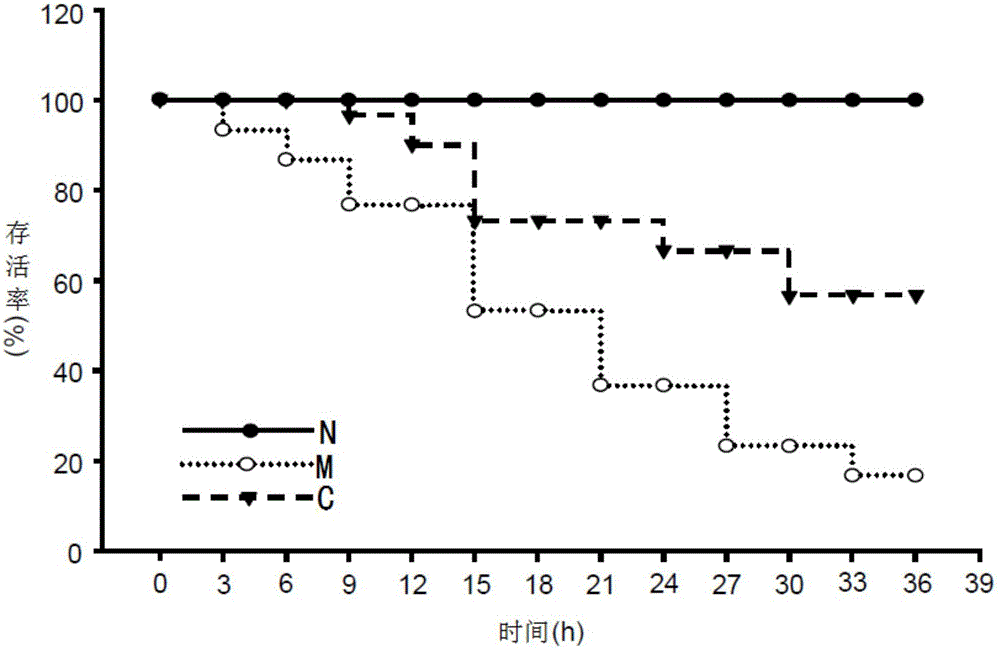 Application of clostridium butyricum in preparation of medicines for treating and/or preventing acute liver injury