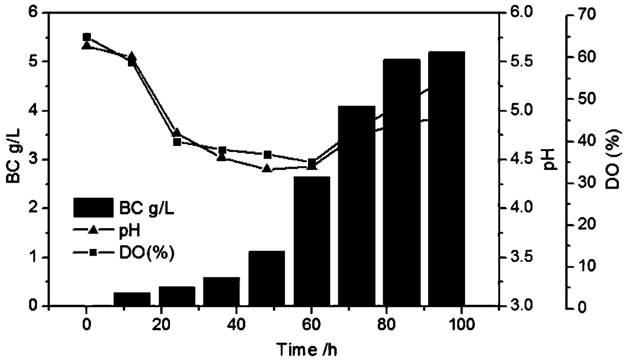 A method for constructing microbial co-culture system to produce bacterial cellulose