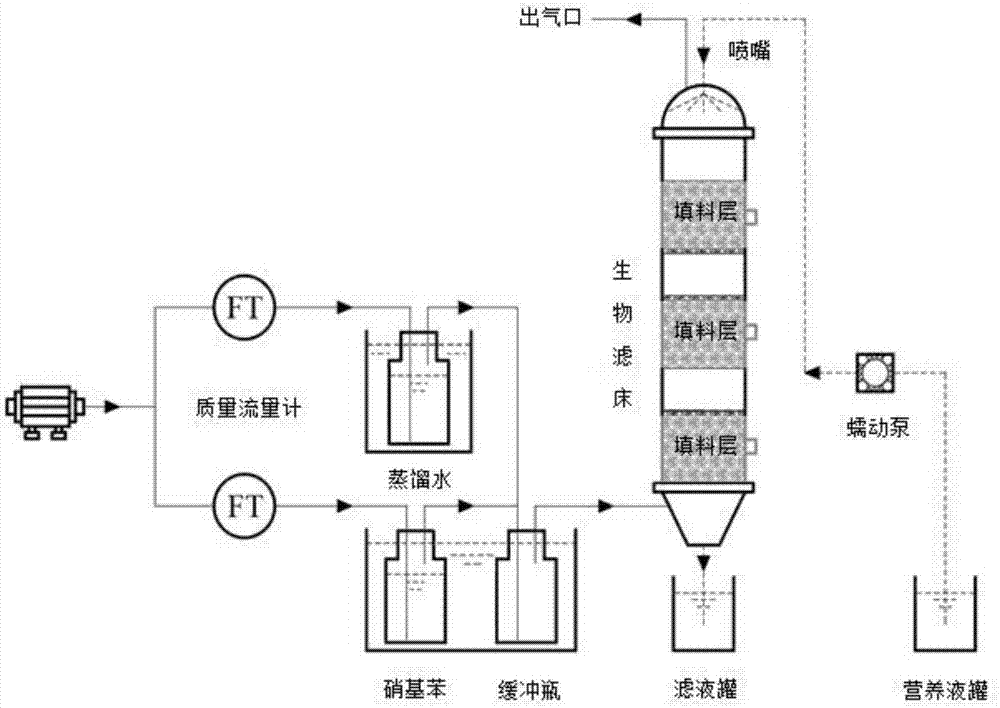 Method for treating nitrobenzene exhaust gas by coupling bacterium biological filter bed