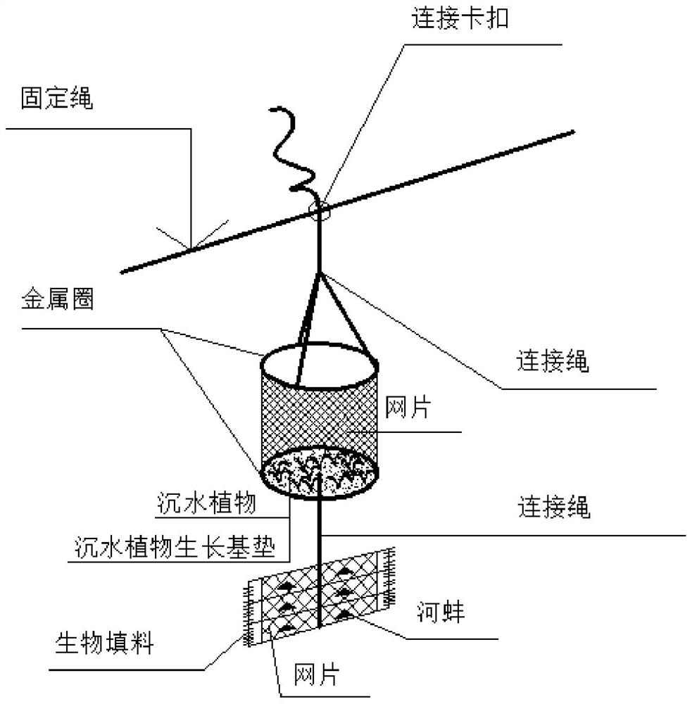 Method for treating eutrophication of small water body in hilly area