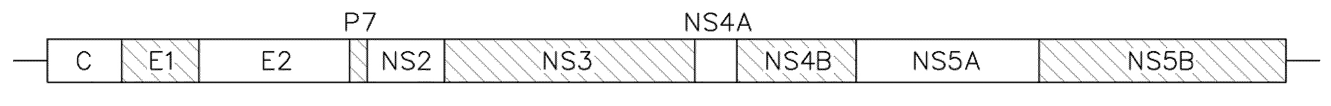 Sequence covariance networks, methods and uses therefor