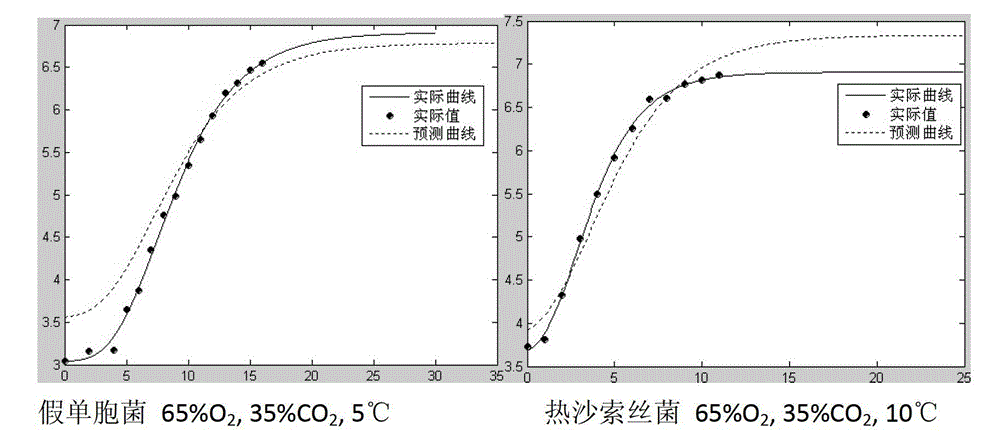 Prediction method for growth of putrefying bacteria in modified atmosphere packaged fresh chilled beef