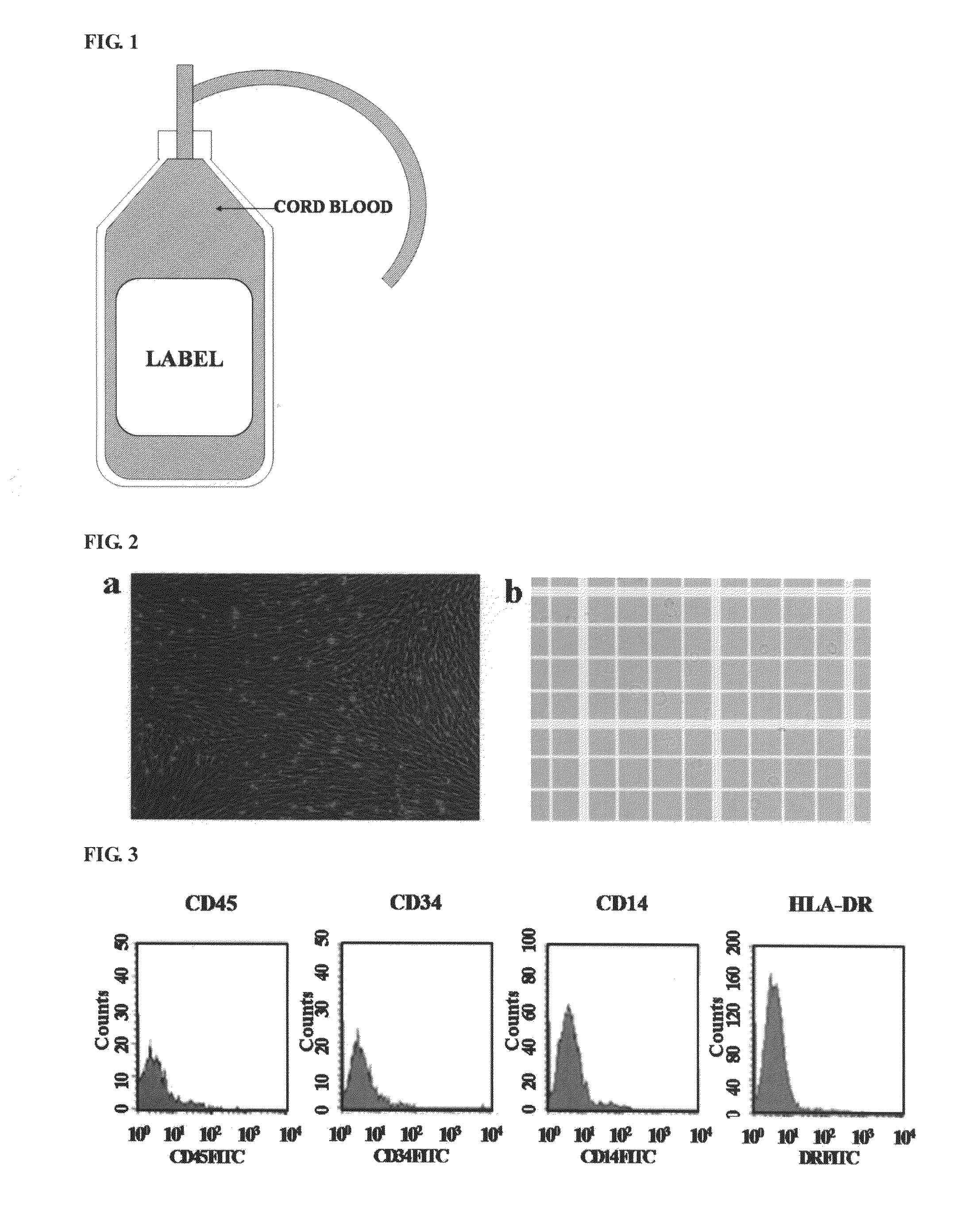 Isolation and Culture-Expansion Methods of Mesenchymal Stem/Progenitor Cells From Umbilical Cord Blood, And Differentiation Method of Umbilical Cord Blood-Derived Meschymal Stem/Progenitor Cells Into Various Mesenchymal Tissues