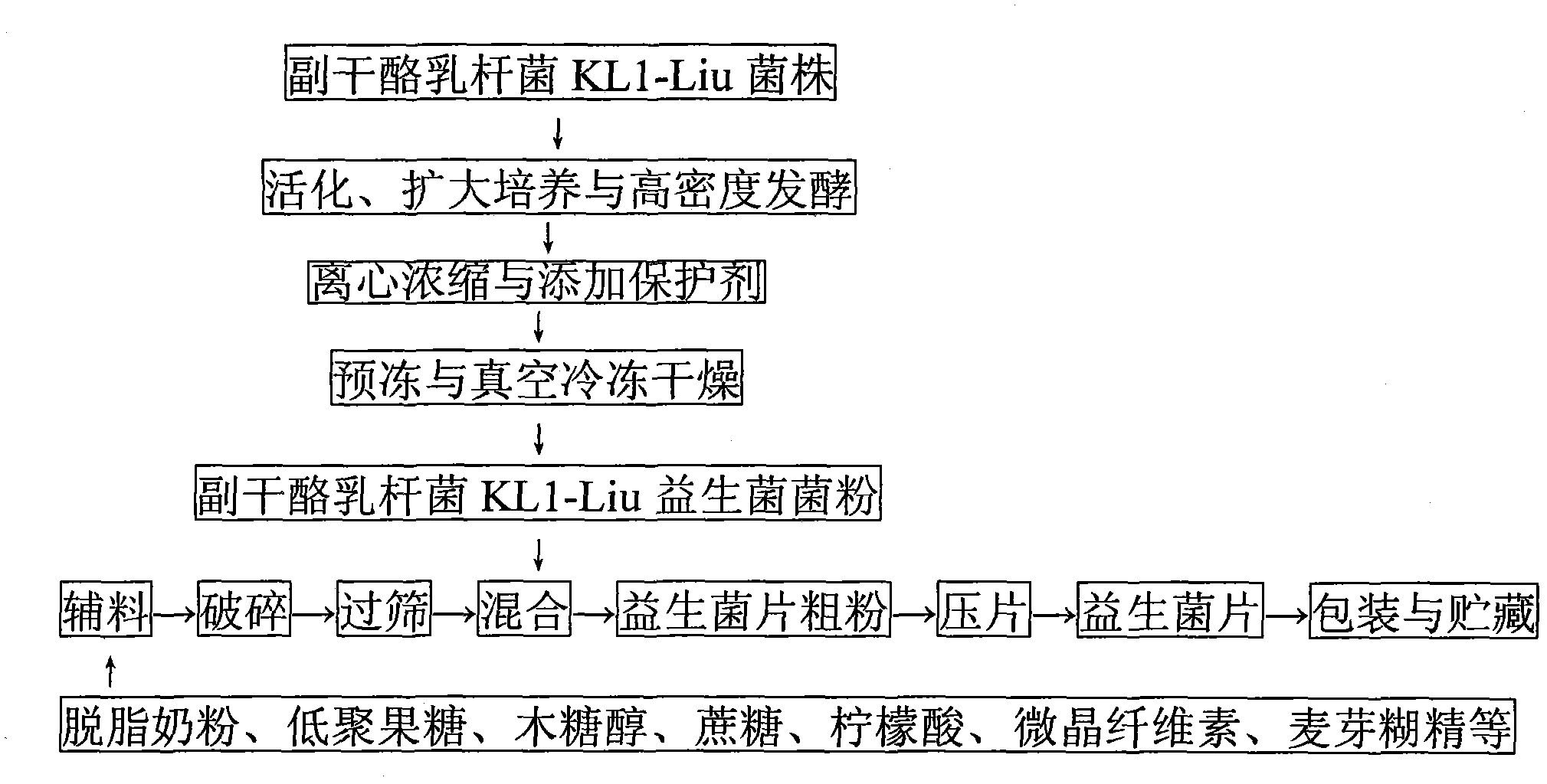 Preparation method of lactobacillus paracasei probiotics tablet of bifidobacteria producing bile salt hydrolase