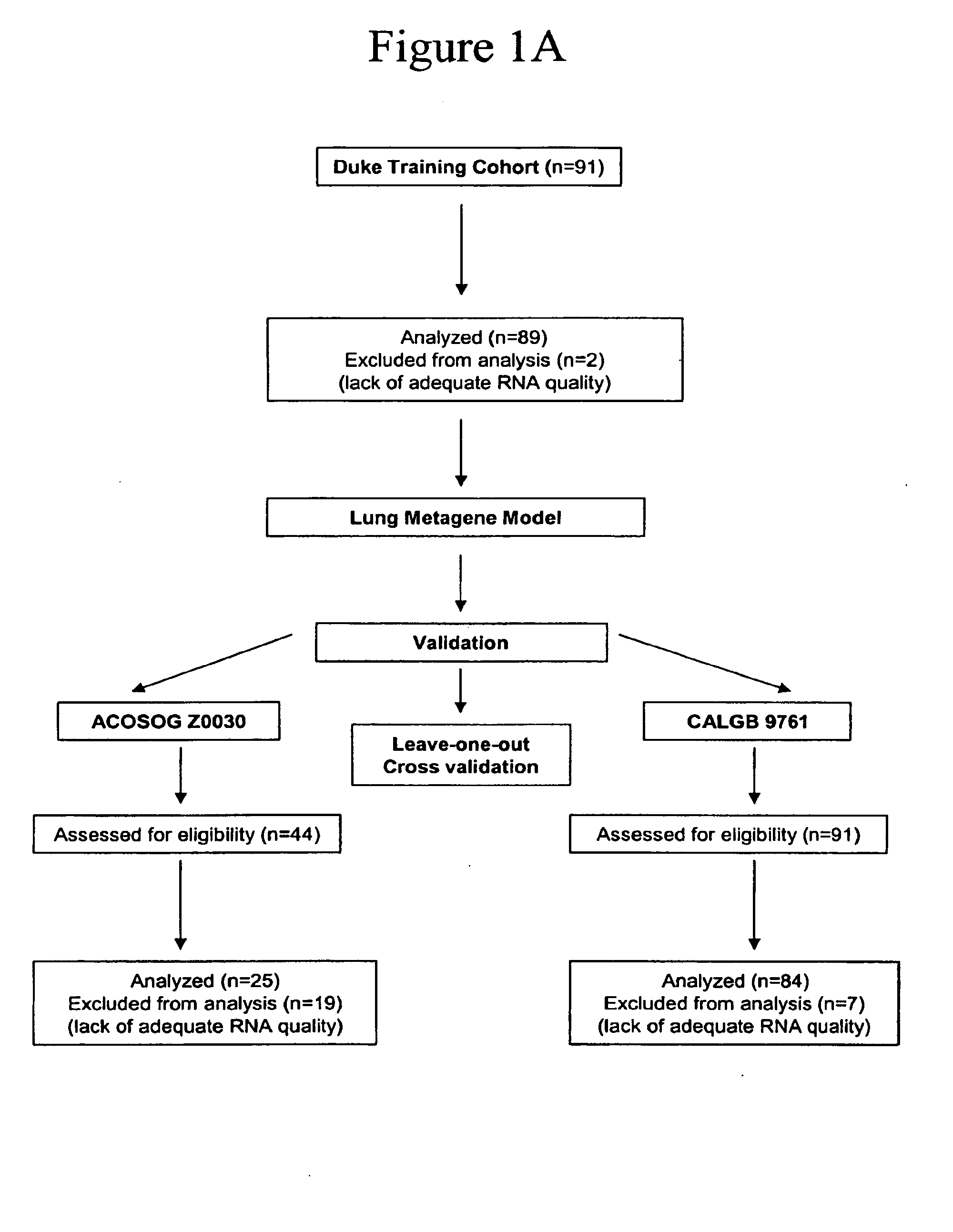 Prediction of lung cancer tumor recurrence