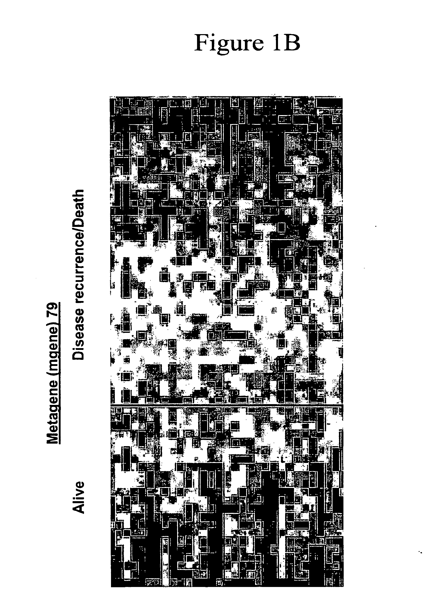 Prediction of lung cancer tumor recurrence