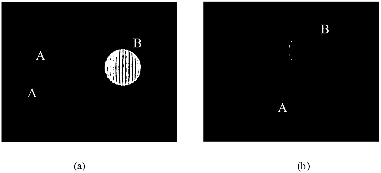 High-precision and wide-size particle field measurement method