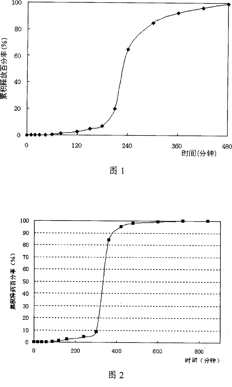 Punailuoer or delayed-release preparation of salt thereof and preparation method thereof