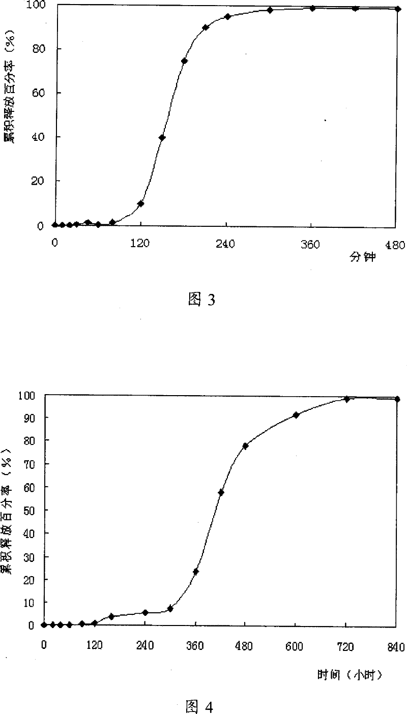 Punailuoer or delayed-release preparation of salt thereof and preparation method thereof