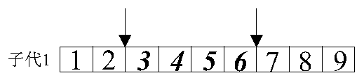 Pilot assignment method based on improved discrete brainstorm optimization algorithm