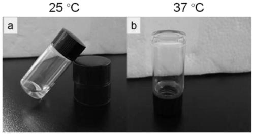 Hydrogel for repairing peripheral nerve injury and preparation method of hydrogel