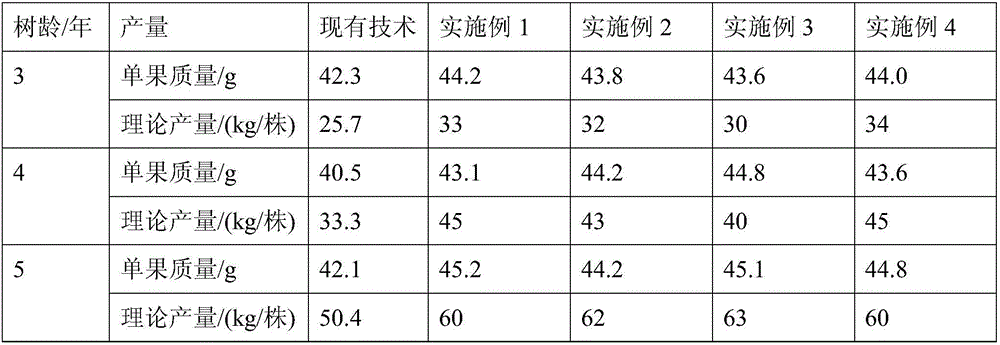 Sugar orange high-yield planting method