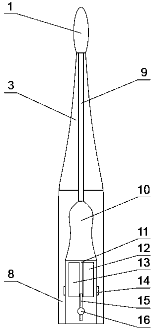 Electric toothbrush containing toothpaste