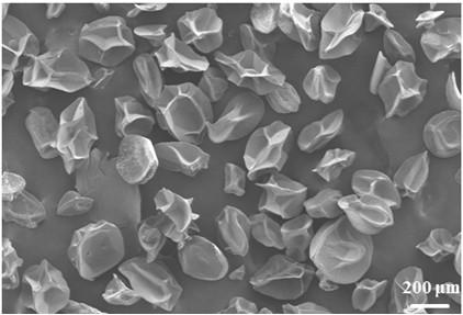 Thrombin-loaded microsphere-expanded sponge composite hemostatic material and preparation method and application thereof