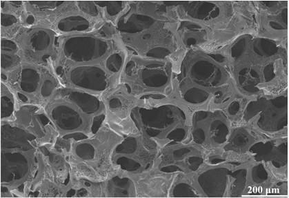 Thrombin-loaded microsphere-expanded sponge composite hemostatic material and preparation method and application thereof