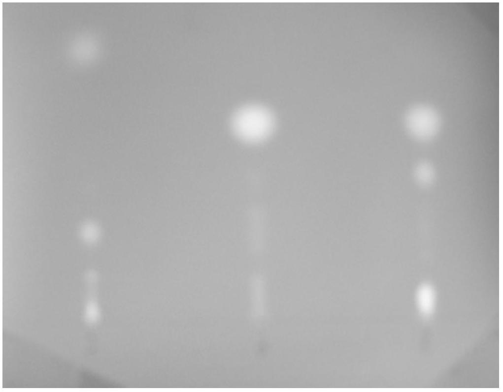 Method for quickly detecting biogenic amine