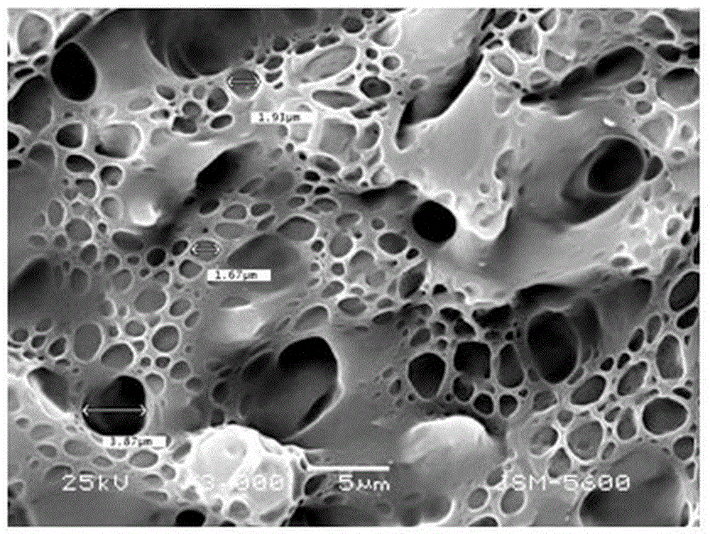 Preparation method of latticed microporous film formed by macromolecule crosslinking