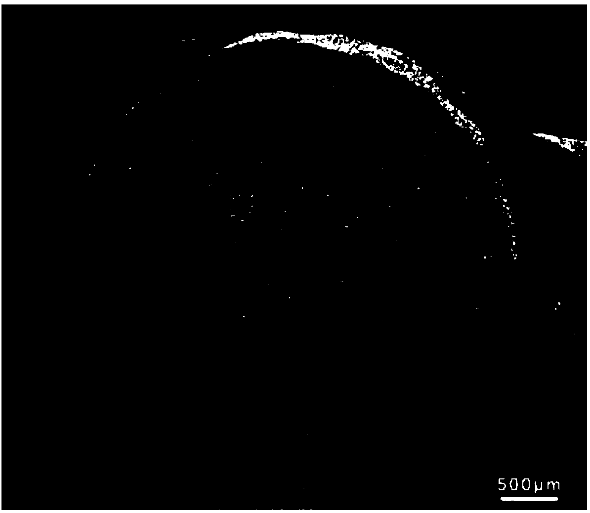 Bioactivity glass porous bone repair material and preparation method thereof