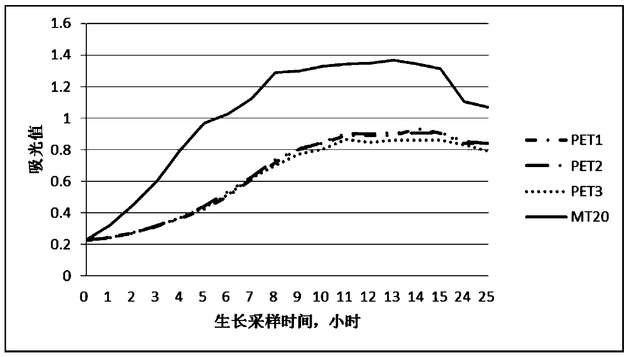 Metallothionein gene MT20, encoded metallothionein thereof and expression and application of gene