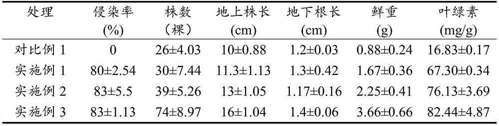 Repairing material, repairing method and application of ionic rare earth tailing area