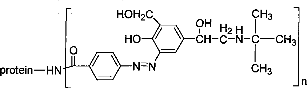 Salbutamol artificial antigen and preparation method and application thereof