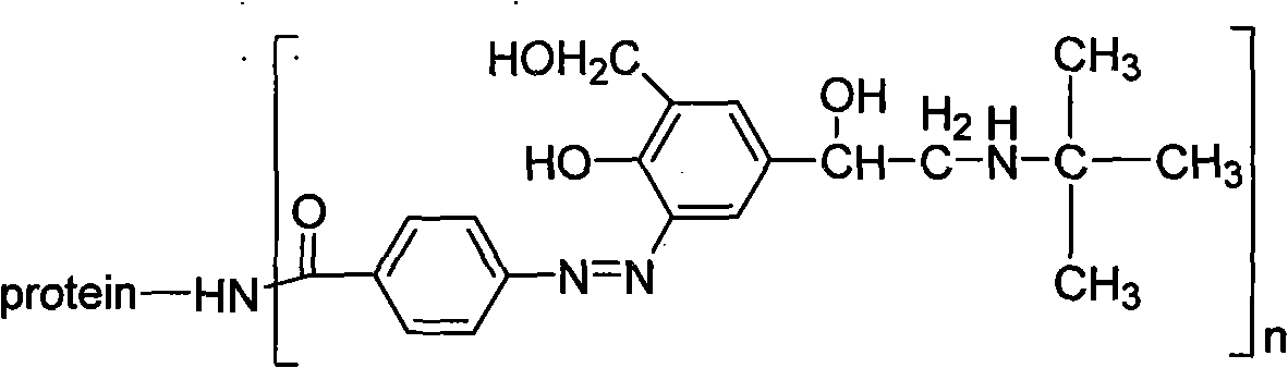 Salbutamol artificial antigen and preparation method and application thereof