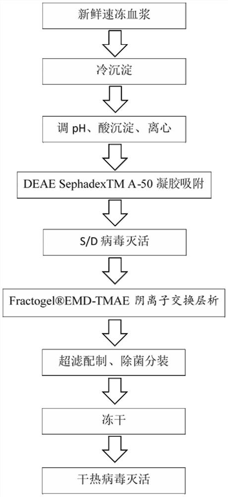 Preparation method of freeze-dried human blood coagulation factor VIII