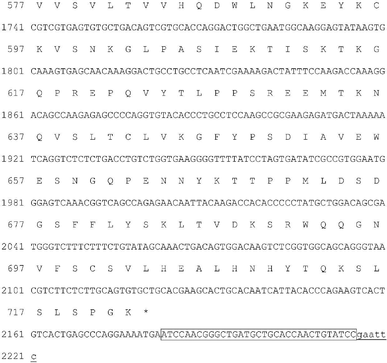 Activated human blood coagulation factor VII fusion protein and its preparation method and application