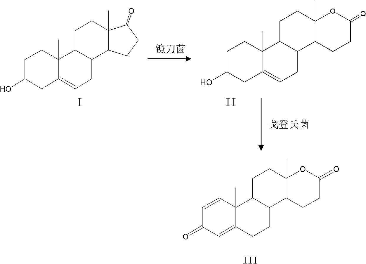 Method for preparing testolactone by microbial transformation