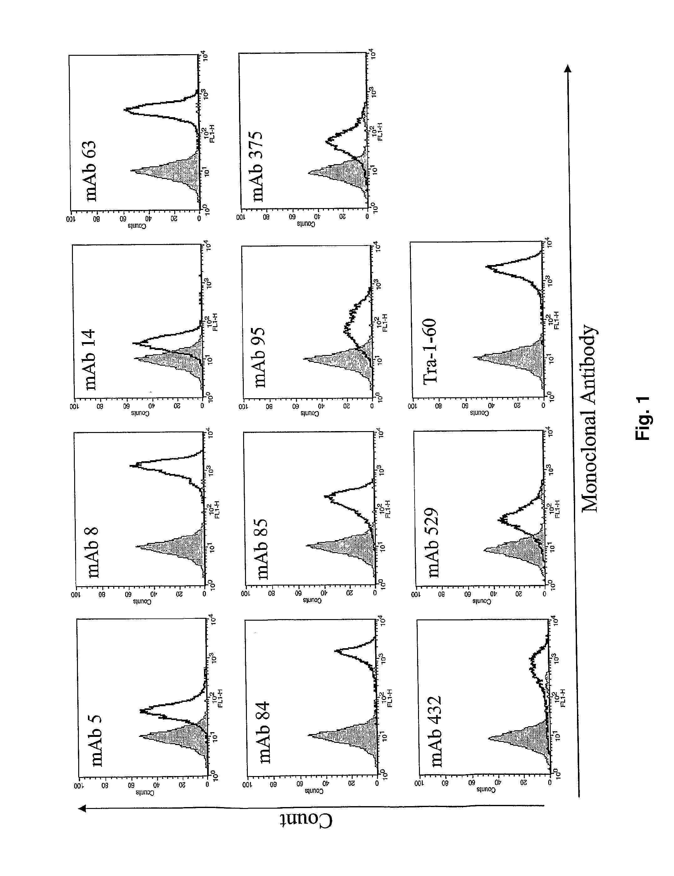 Human embryonic stem cell methods and podxl expression