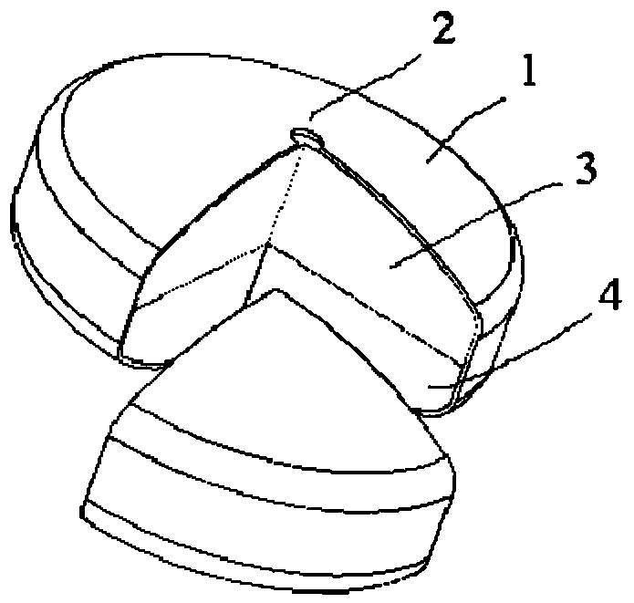 A kind of double-layer osmotic pump controlled-release tablet containing melatonin and its preparation method