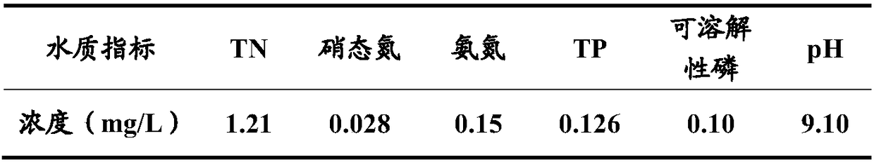 Preparation method of compound immobilized biological adsorbent