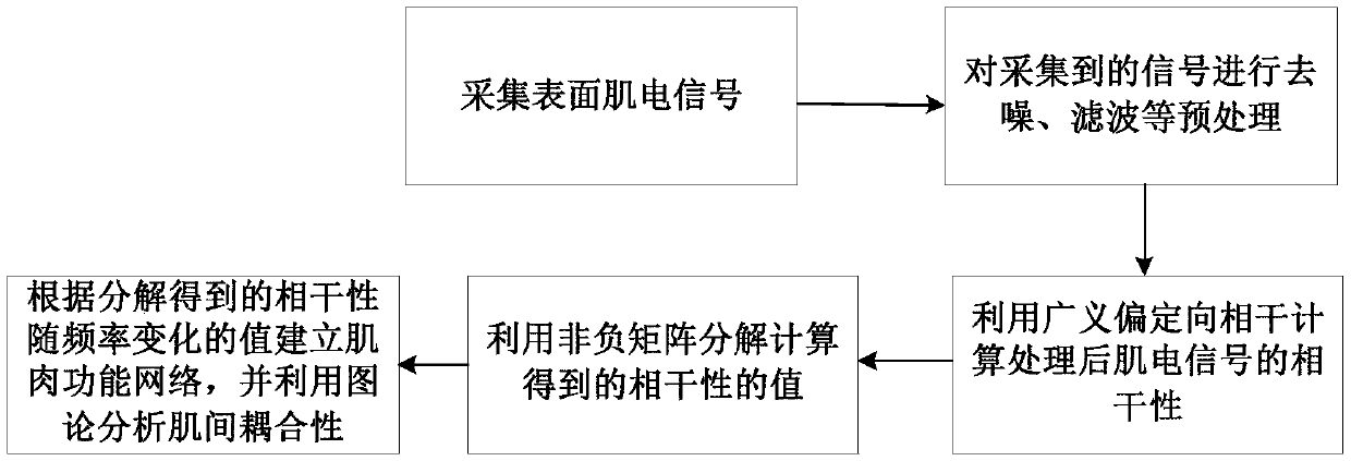 Intermuscular coupling analysis method capable of combining nonnegative matrix decomposition with complex network