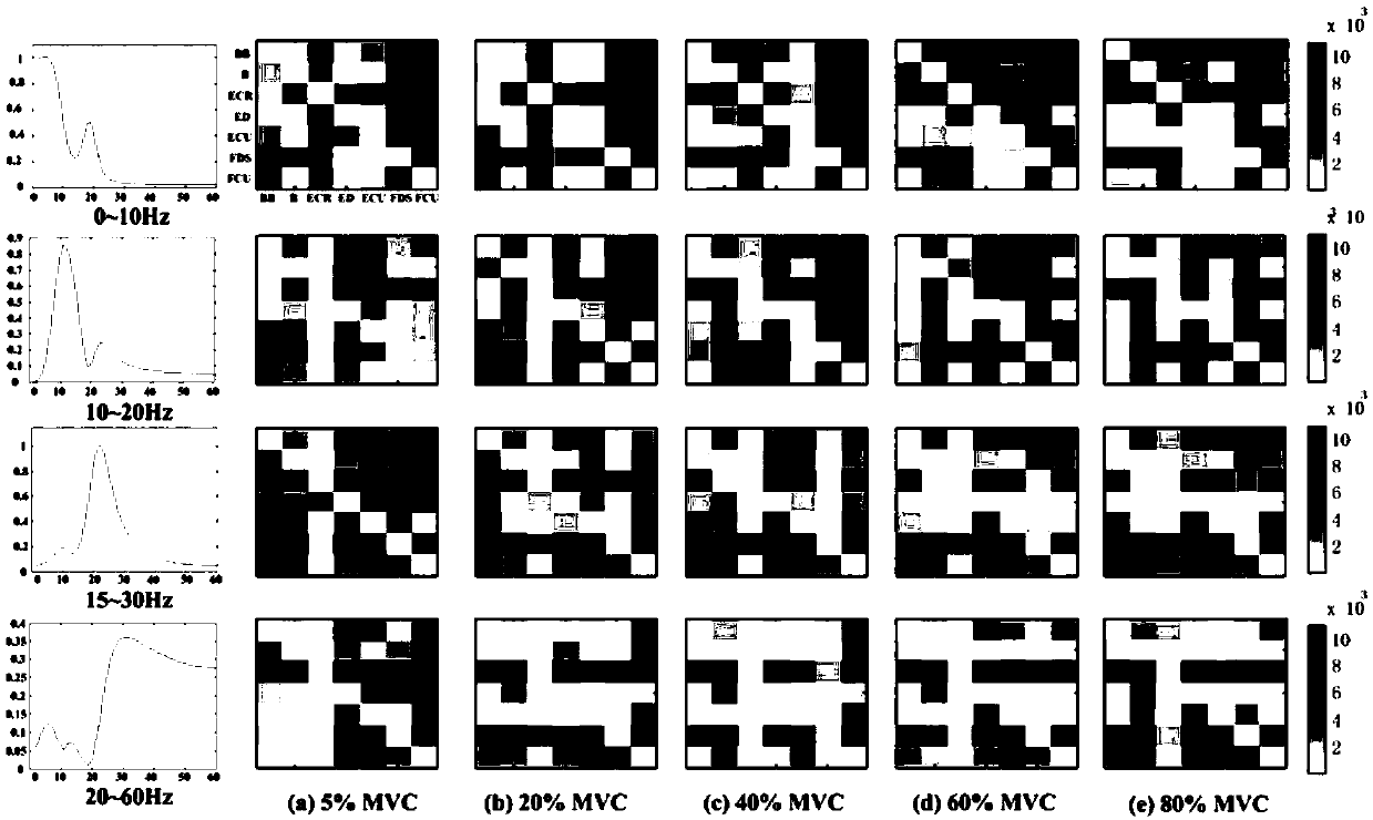 Intermuscular coupling analysis method capable of combining nonnegative matrix decomposition with complex network