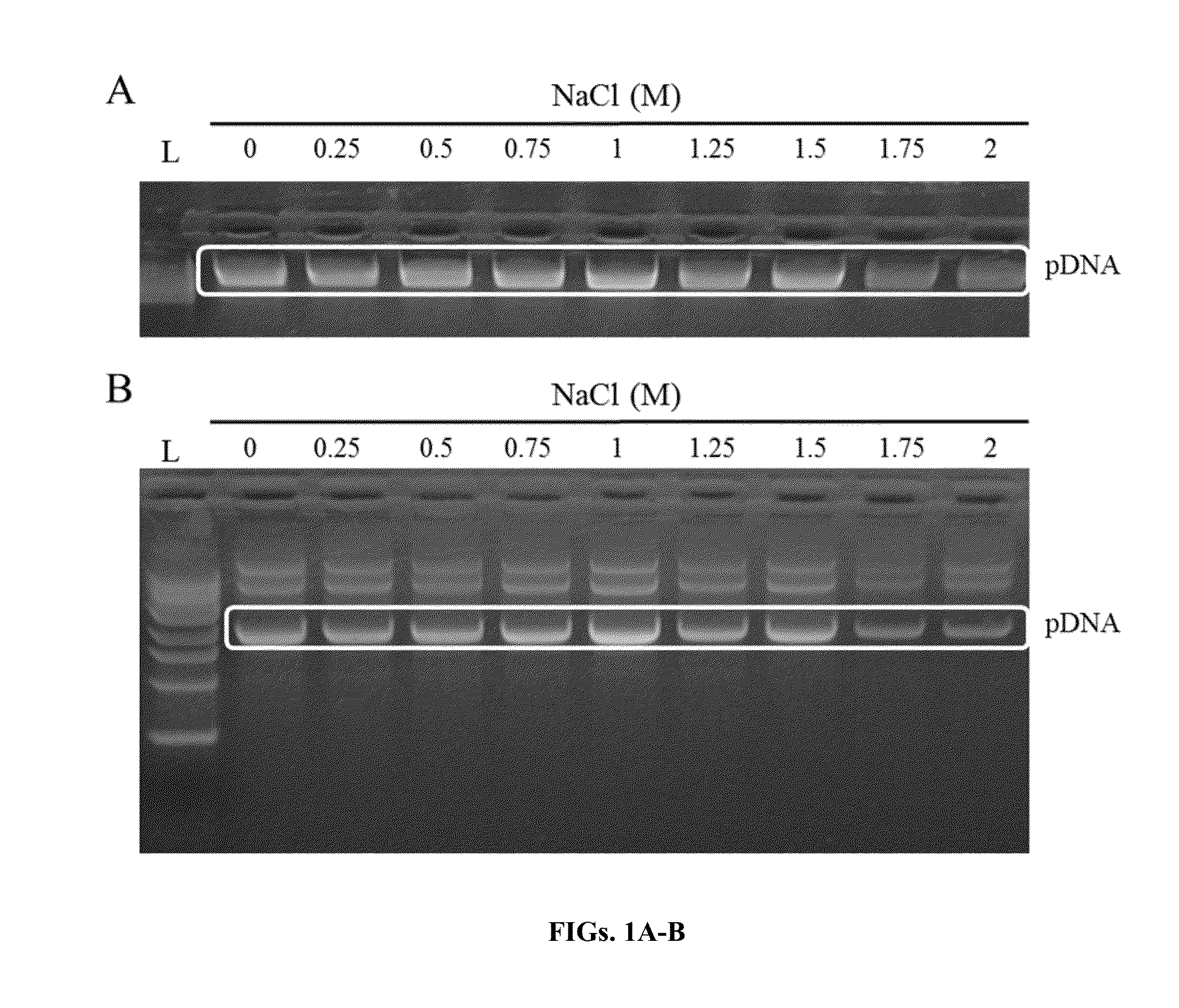 Methods for nucleic acid capture