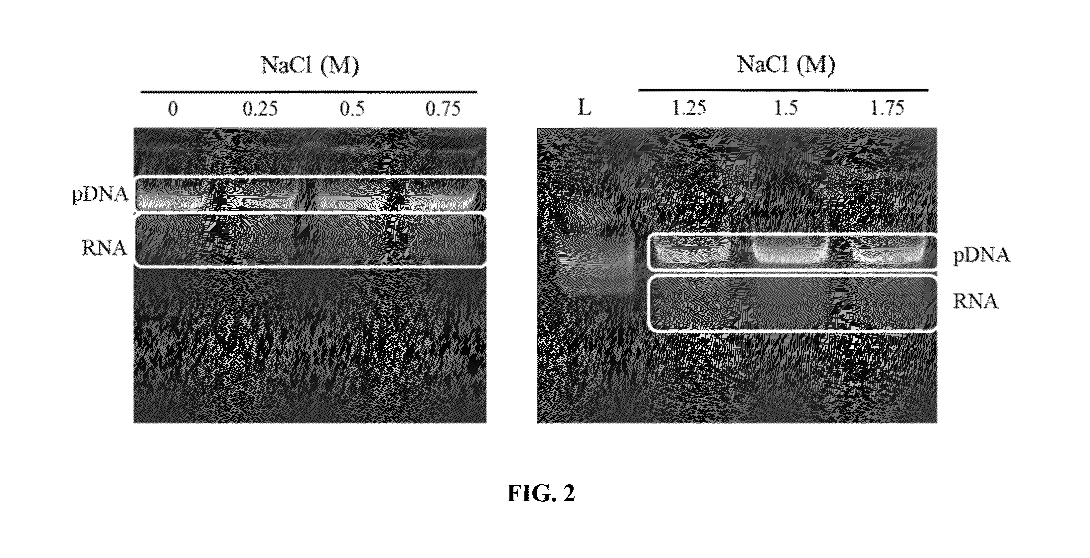 Methods for nucleic acid capture