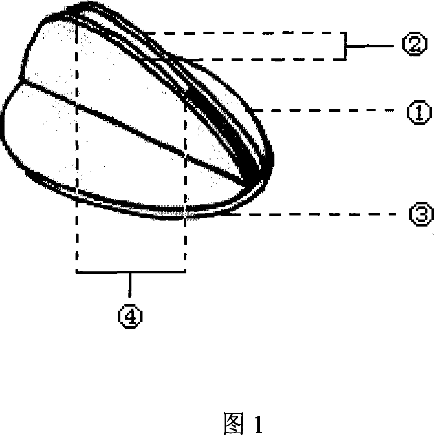 Lateral vertical localizer for needle insertion on puncturing waist portion