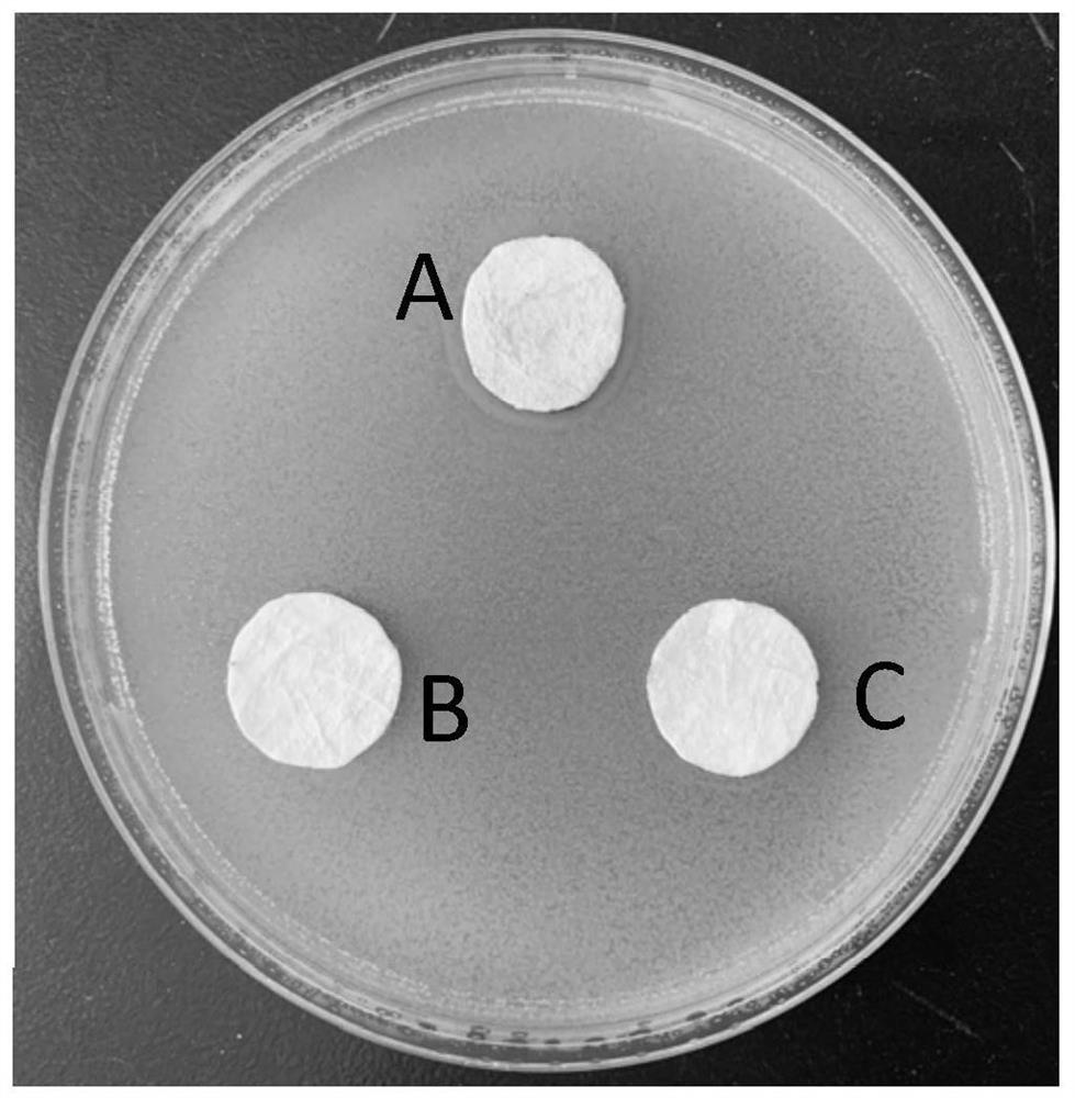 A kind of composite antibacterial finishing non-woven fabric and preparation method thereof