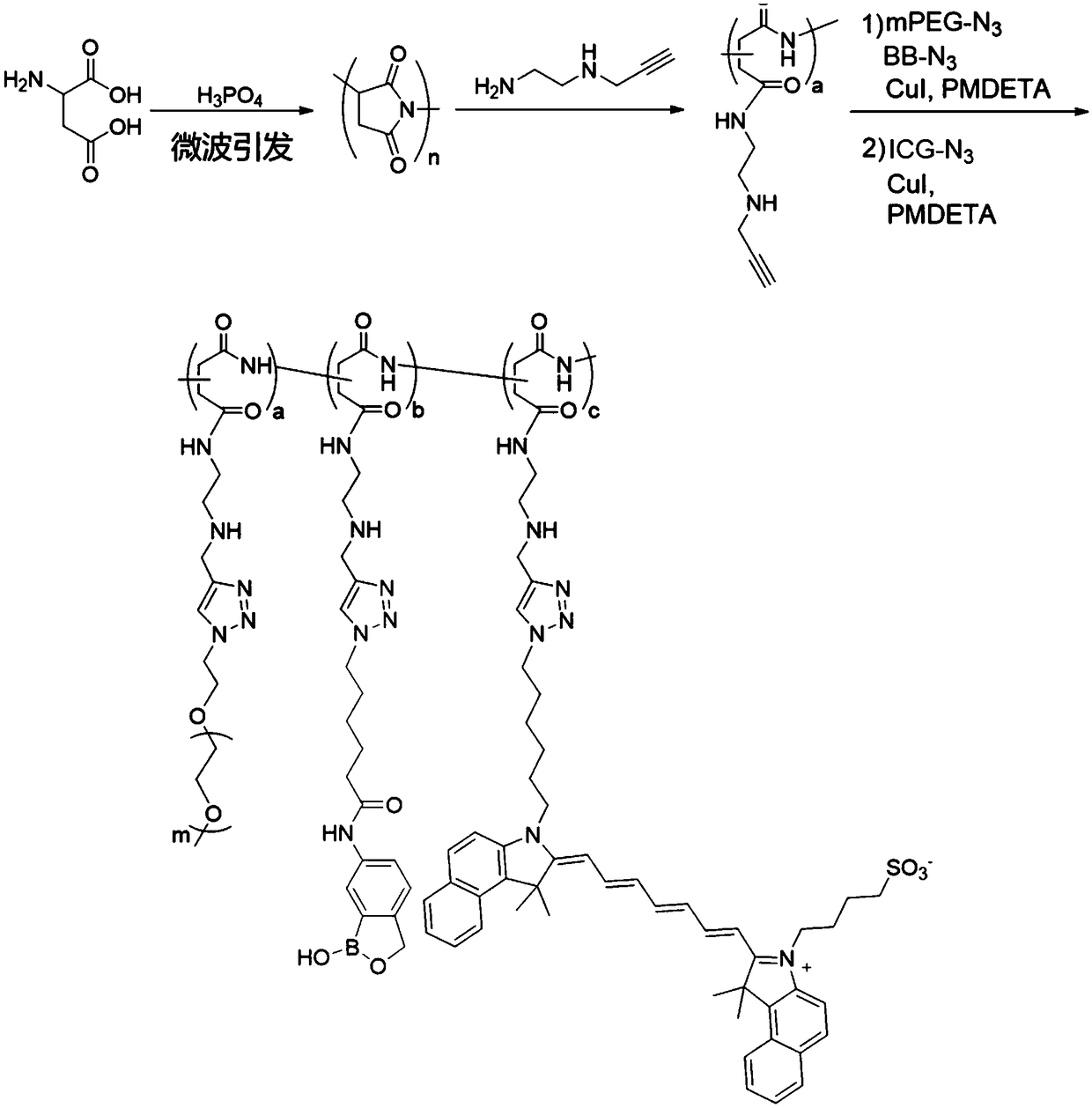 Antibody conjugate with boron ester unit polymers and method for fabricating antibody conjugate