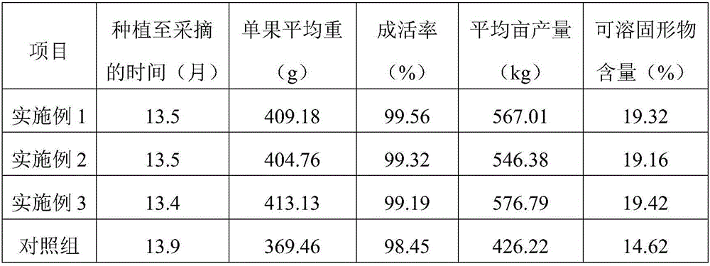 Efficient planting method for dragon fruit