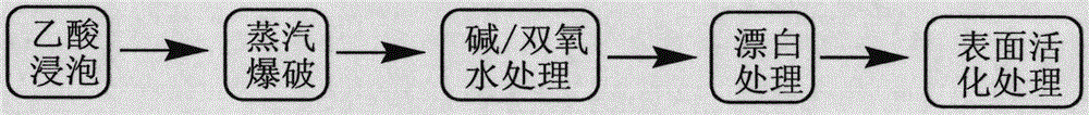 A kind of bagasse pretreatment method of activating surface groups