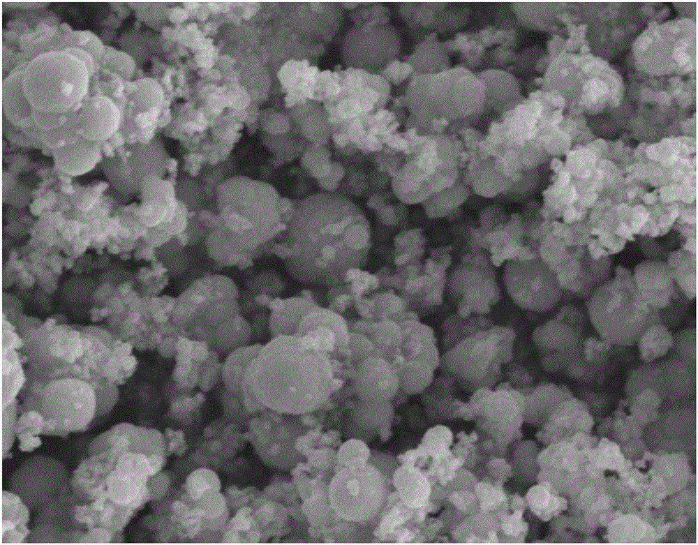 Preparation method and use of cadmium sulfide-immobilized tetra(4-carboxyphenyl)ferriporphyrin catalysis material