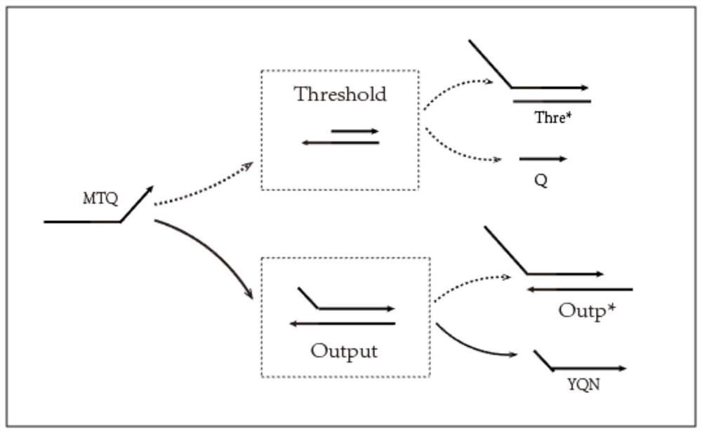 Artificial neuron calculation model construction method based on DNA cage structure