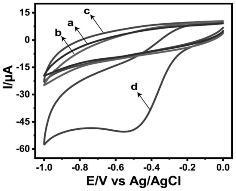 Electrochemical analysis method constructed based on bovine serum albumin-ruthenium dioxide nanoparticles and used for detecting intracellular hydrogen peroxide