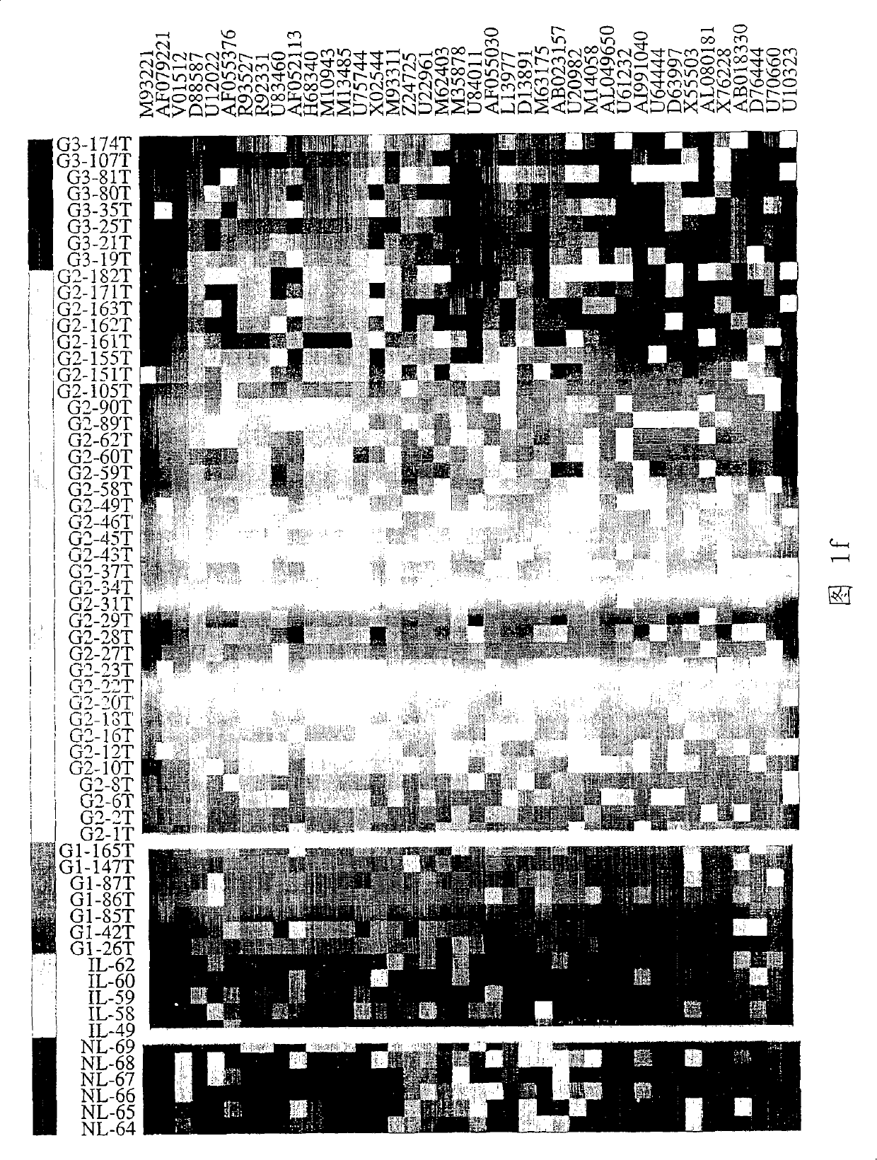 Method for confirming tumour differentiation grade