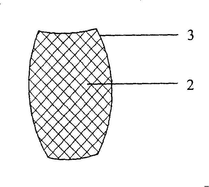 Sea grape egg adhesion reef with reticular soft structure