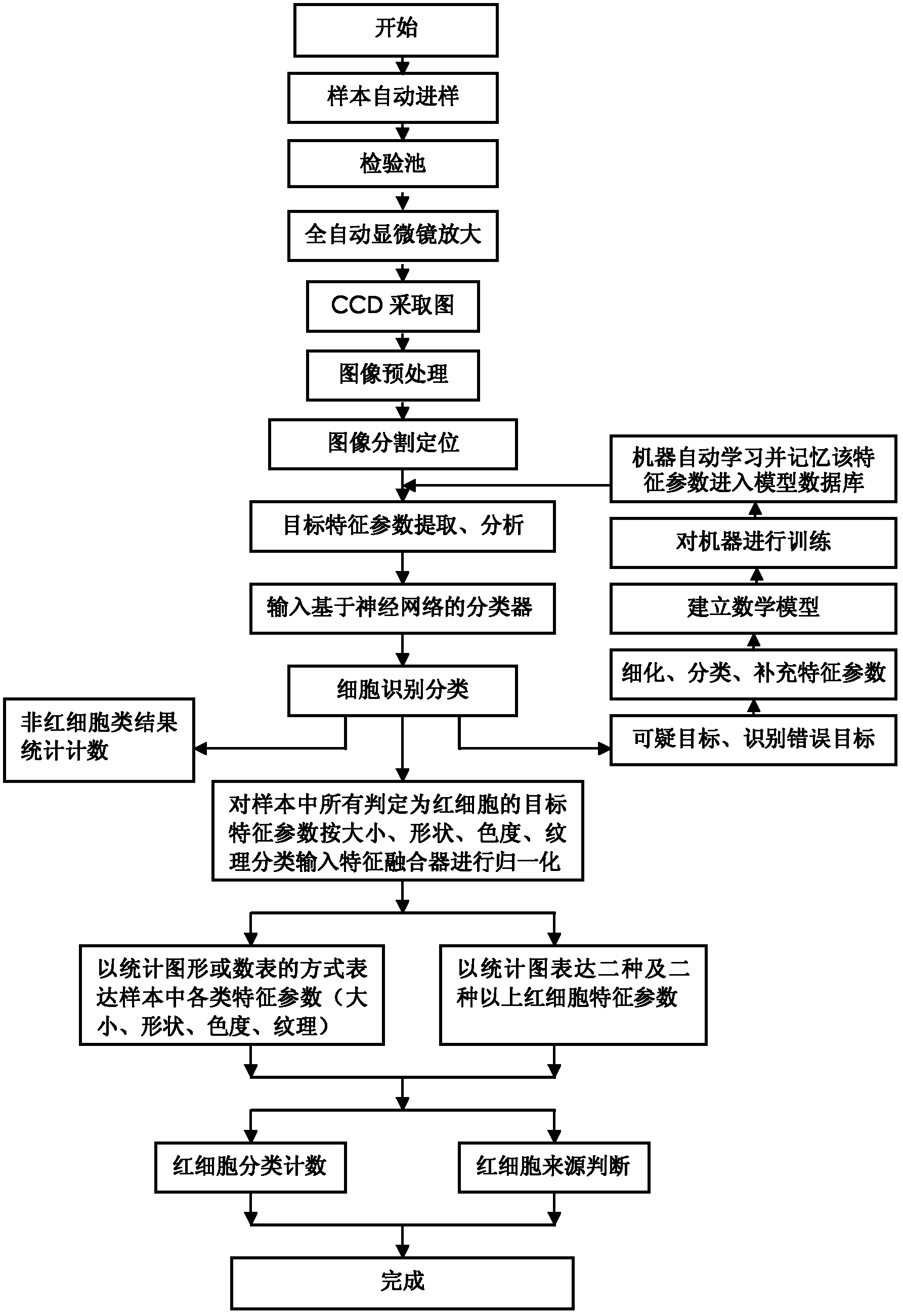 Morphological analytical apparatus and method for erythrocytes